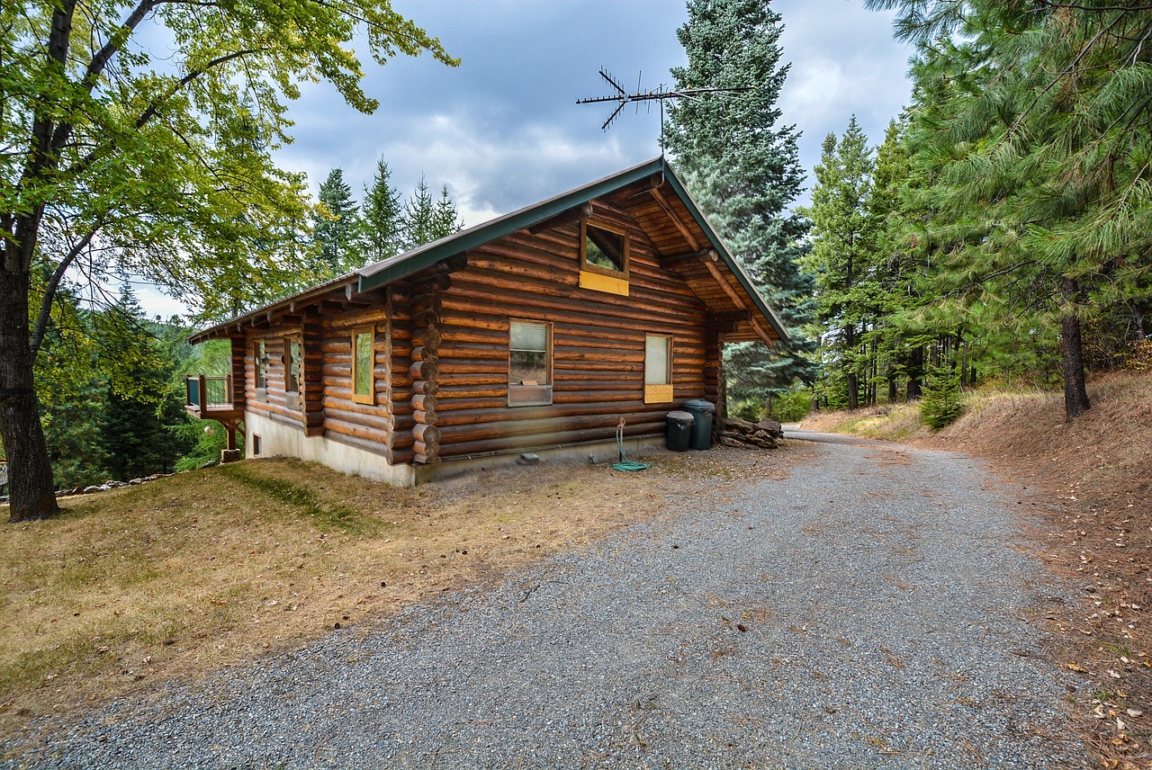 Log cabin in a forest