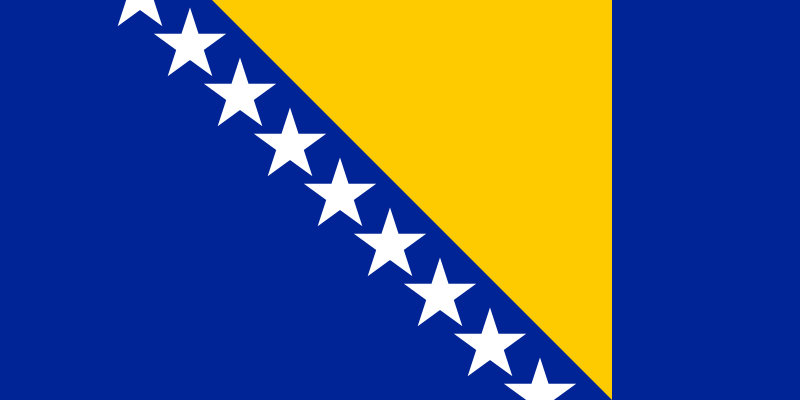 Bosnian Flag