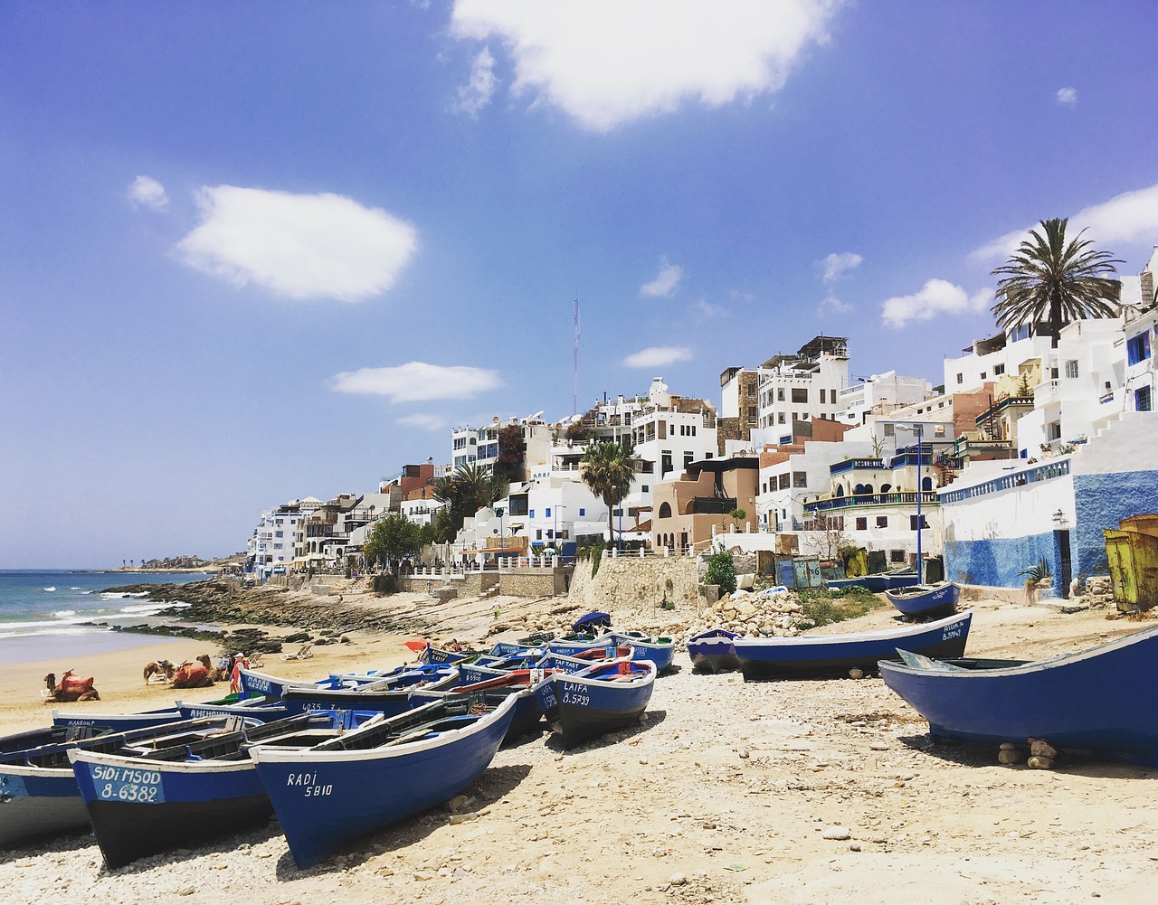 Taghazout beach with small fishing boats and camels.