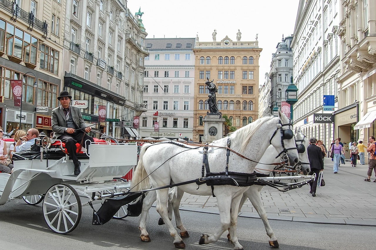 Man on a horse and cart in central Vienna